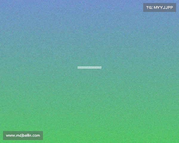 休斯顿火箭队全年所有赛事全景盘点