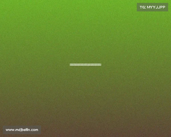 网球最大赛事、网球巅峰四大满贯荣耀征程全解析