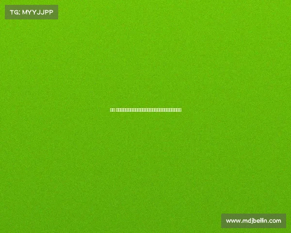 播求 创办赛事—泰拳传奇播求创办全新赛事平台激发全球格斗热潮